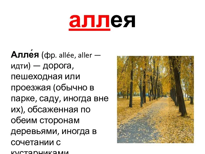 аллея Алле́я (фр. allée, aller — идти) — дорога, пешеходная