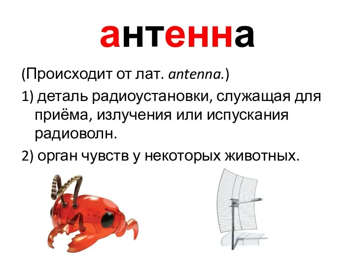 антенна (Происходит от лат. antenna.) 1) деталь радиоустановки, служащая для