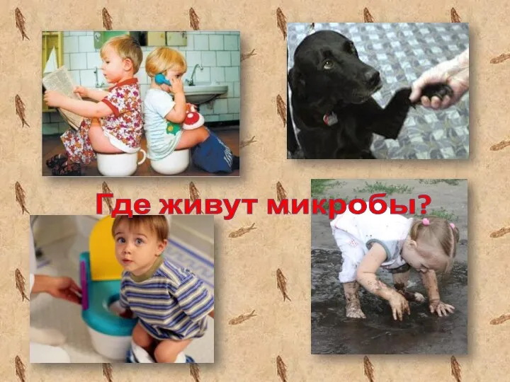 Где живут микробы?