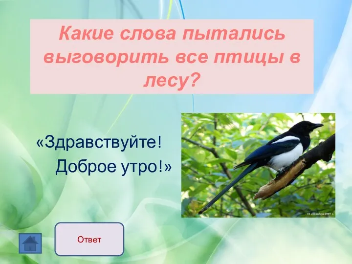 «Здравствуйте! Доброе утро!» Какие слова пытались выговорить все птицы в лесу? Ответ