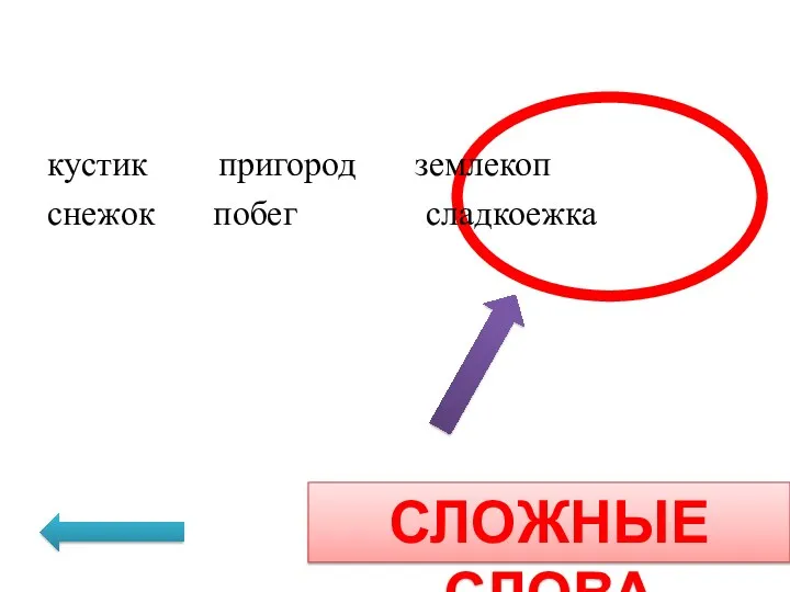 кустик пригород землекоп снежок побег сладкоежка Сложные слова