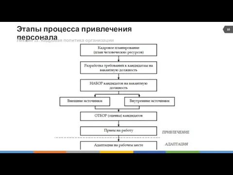 Этапы процесса привлечения персонала 10 Лекция 12. Кадровая политика организации