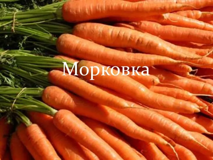 Морковка