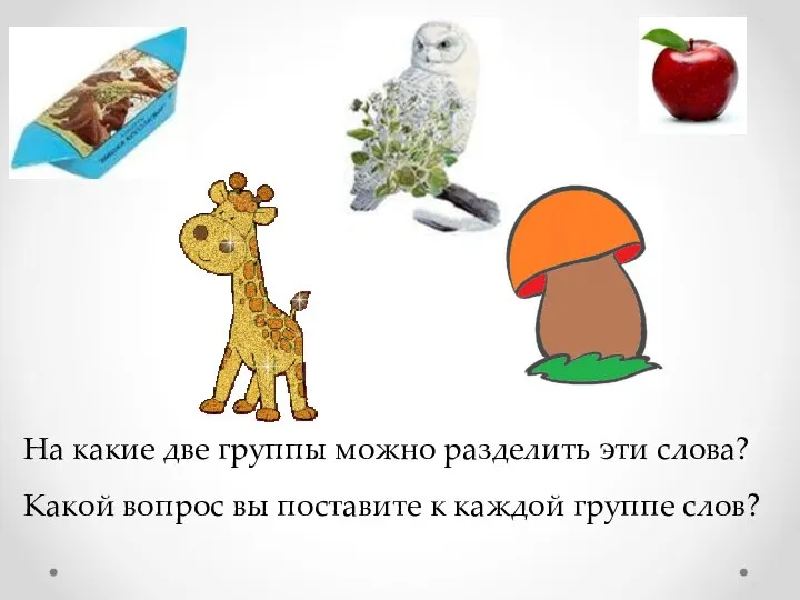 На какие две группы можно разделить эти слова? Какой вопрос вы поставите к каждой группе слов?