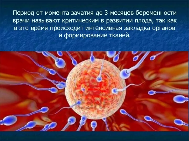 Период от момента зачатия до 3 месяцев беременности врачи называют критическим в развитии