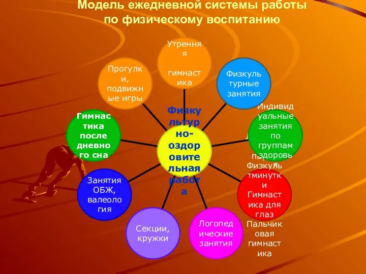 Модель ежедневной системы работы по физическому воспитанию