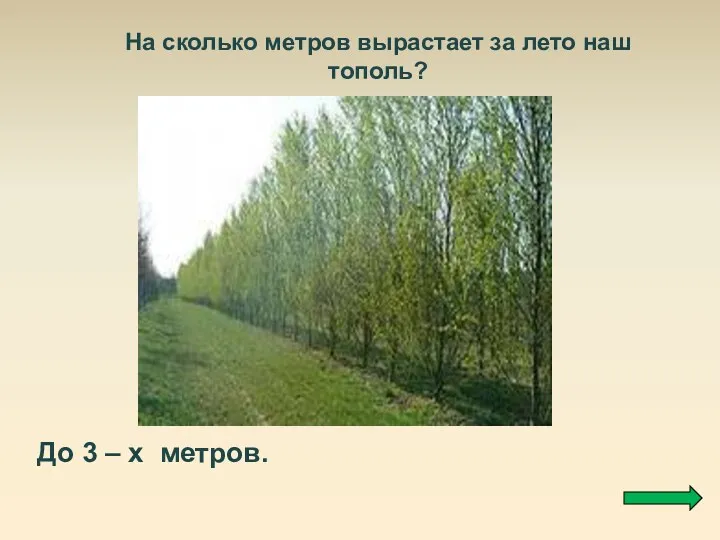 На сколько метров вырастает за лето наш тополь? До 3 – х метров.