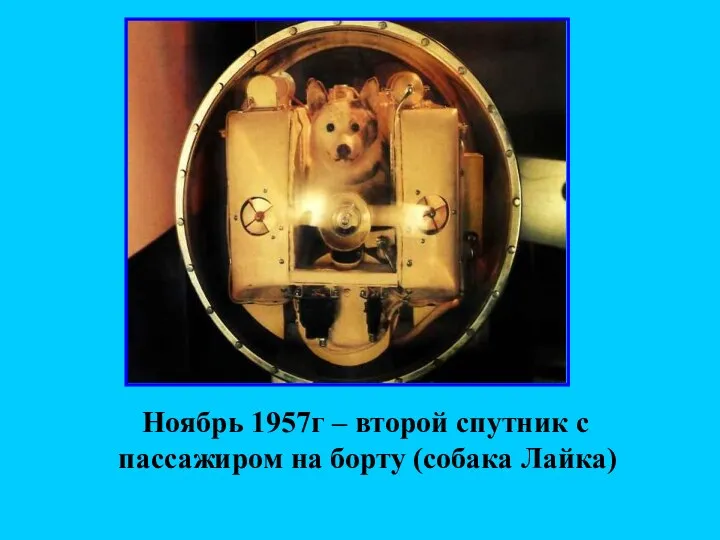 Ноябрь 1957г – второй спутник с пассажиром на борту (собака Лайка)