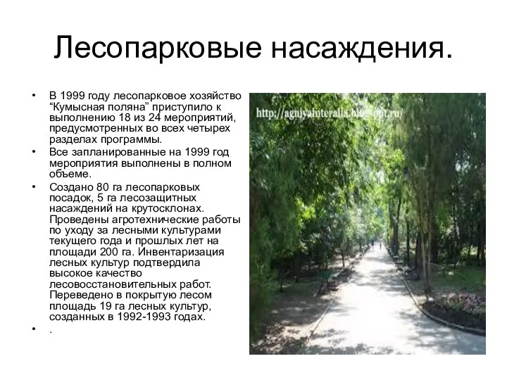 Лесопарковые насаждения. В 1999 году лесопарковое хозяйство “Кумысная поляна” приступило