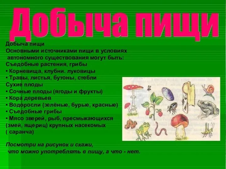 Добыча пищи Основными источниками пищи в условиях автономного существования могут