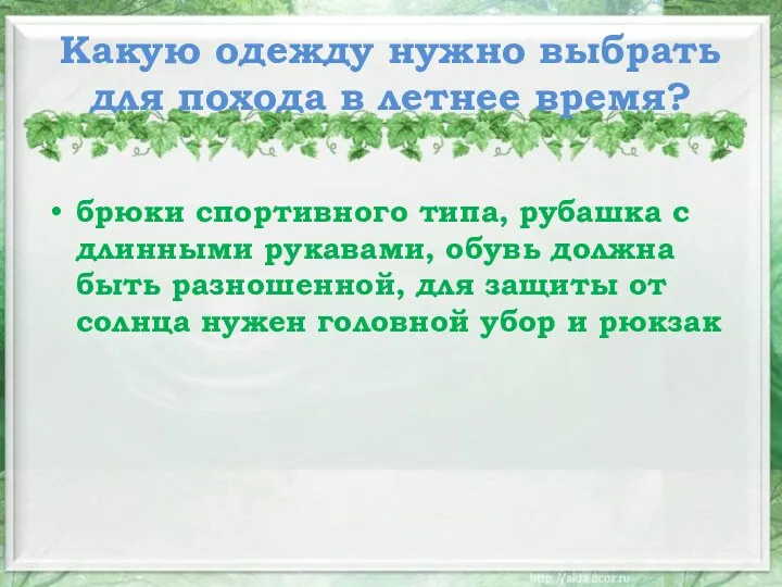 Какую одежду нужно выбрать для похода в летнее время? брюки