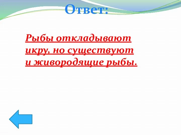 Ответ: Рыбы откладывают икру, но существуют и живородящие рыбы.