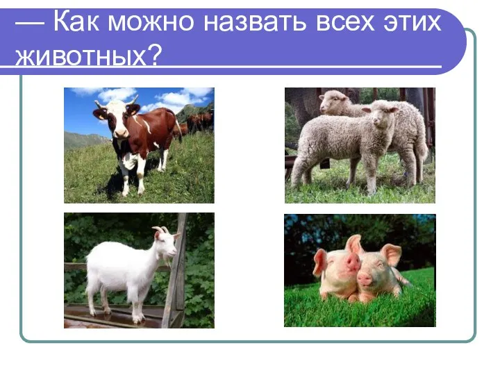 — Как можно назвать всех этих животных?