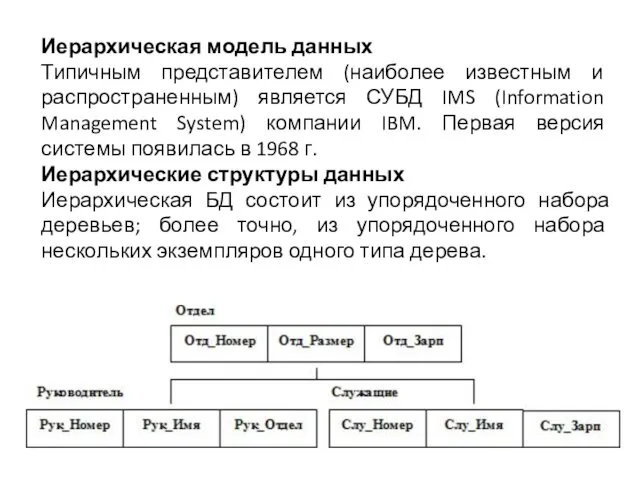 Иерархическая модель данных Типичным представителем (наиболее известным и распространенным) является