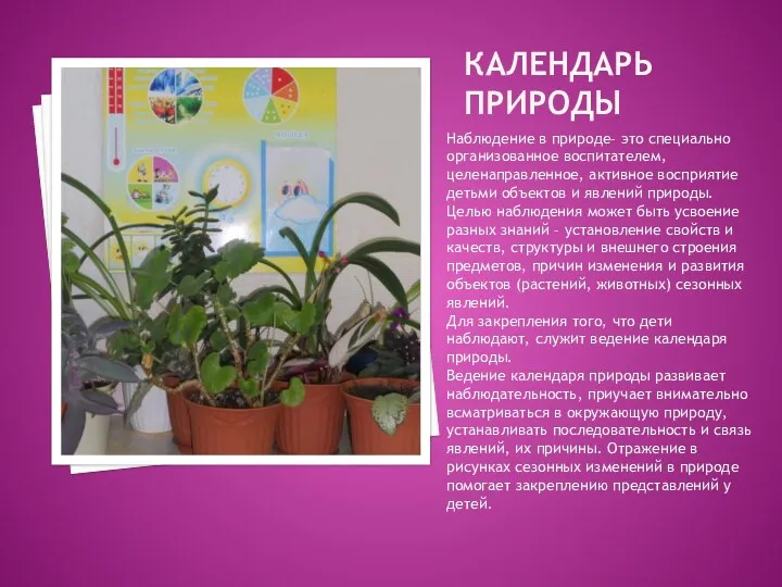 Календарь природы Наблюдение в природе– это специально организованное воспитателем, целенаправленное, активное восприятие детьми