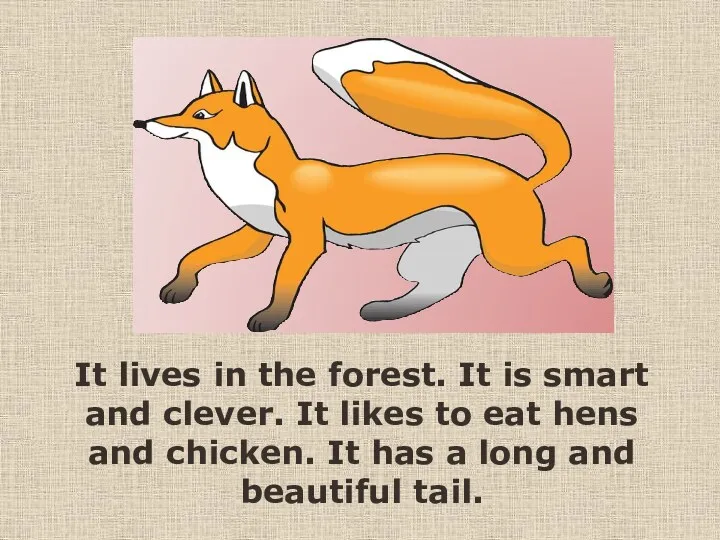 It lives in the forest. It is smart and clever.