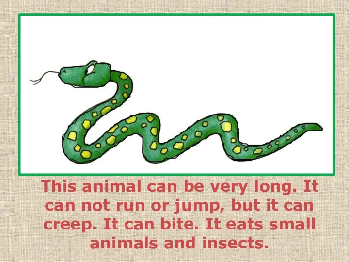 This animal can be very long. It can not run