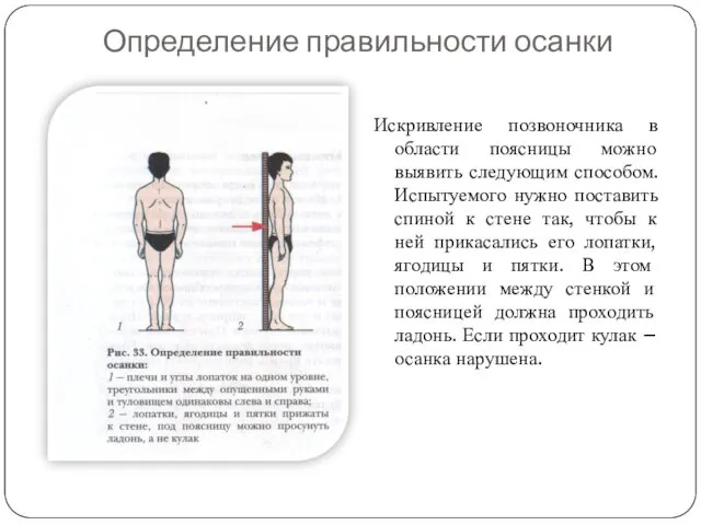 Определение правильности осанки Искривление позвоночника в области поясницы можно выявить