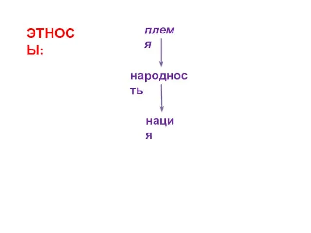 ЭТНОСЫ: племя народность нация