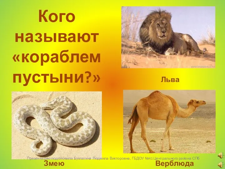 Кого называют «кораблем пустыни?» Льва Верблюда Змею Презентацию подготовила Буклагина