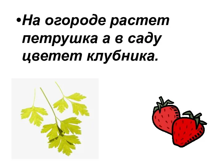 На огороде растет петрушка а в саду цветет клубника.