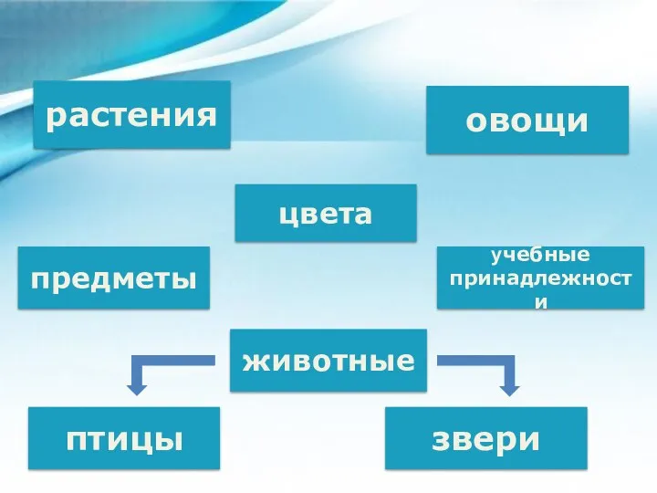 птицы растения овощи животные учебные принадлежности предметы звери цвета