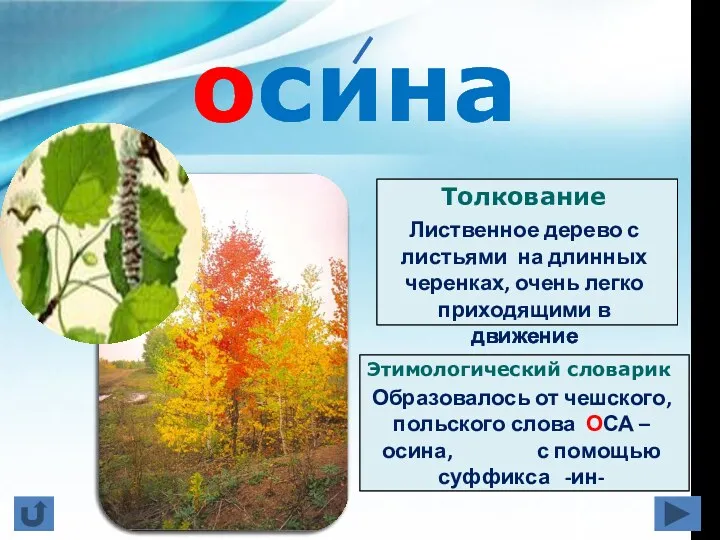 осина Толкование Этимологический словарик Образовалось от чешского, польского слова ОСА