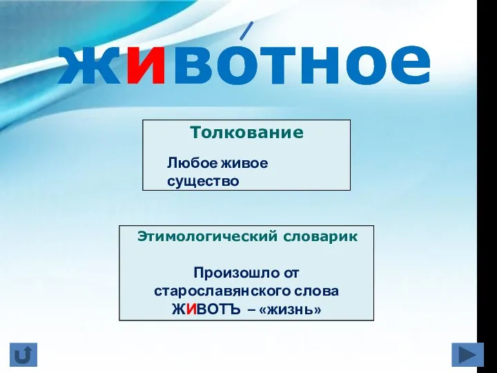 животное Толкование Этимологический словарик Любое живое существо Произошло от старославянского слова ЖИВОТЪ – «жизнь»