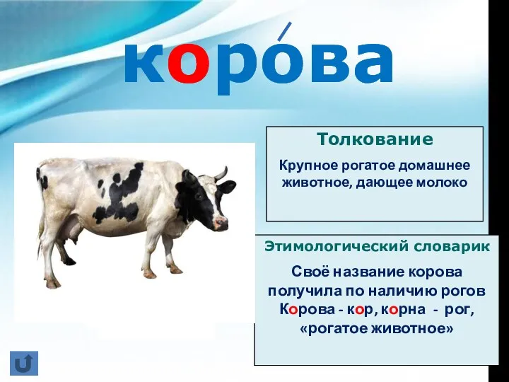 Этимологический словарик Своё название корова получила по наличию рогов Корова