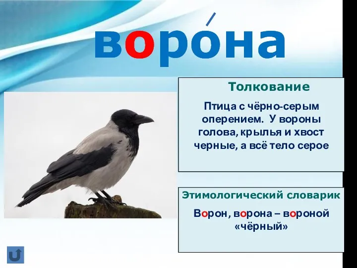 ворона Толкование Птица с чёрно-серым оперением. У вороны голова, крылья