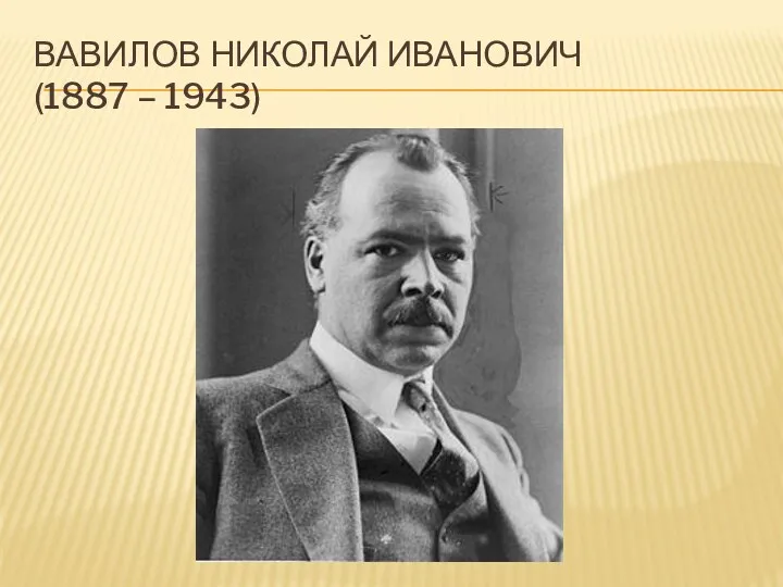 Вавилов Николай Иванович (1887 – 1943)