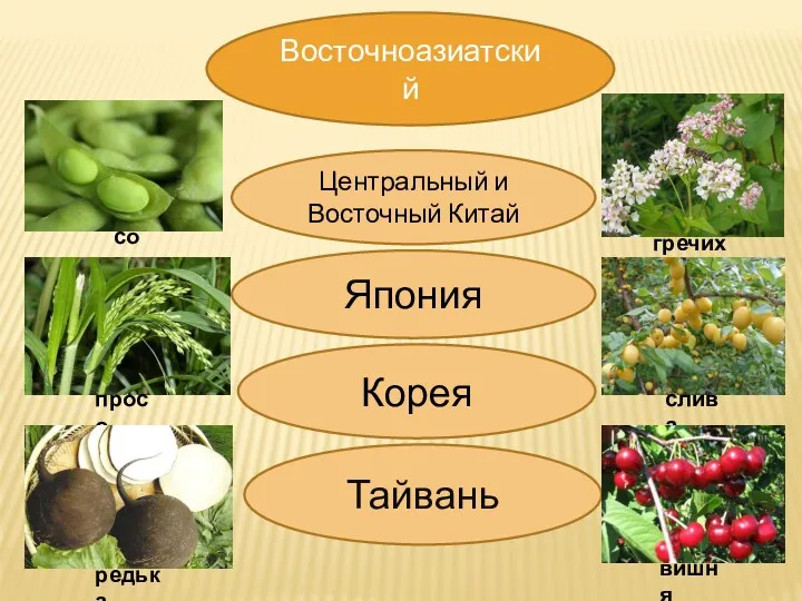 Восточноазиатский Центральный и Восточный Китай Япония Корея Тайвань соя просо гречиха слива редька вишня