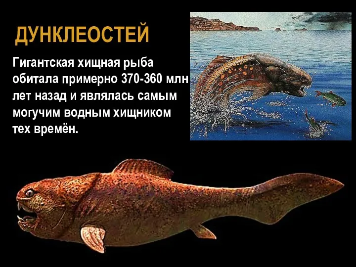 ДУНКЛЕОСТЕЙ Гигантская хищная рыба обитала примерно 370-360 млн лет назад и являлась самым