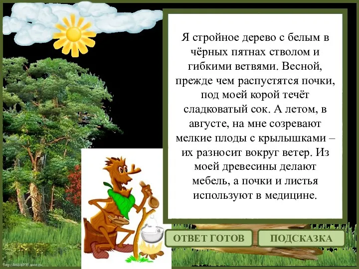 http://linda6035.ucoz.ru/ Я стройное дерево с белым в чёрных пятнах стволом