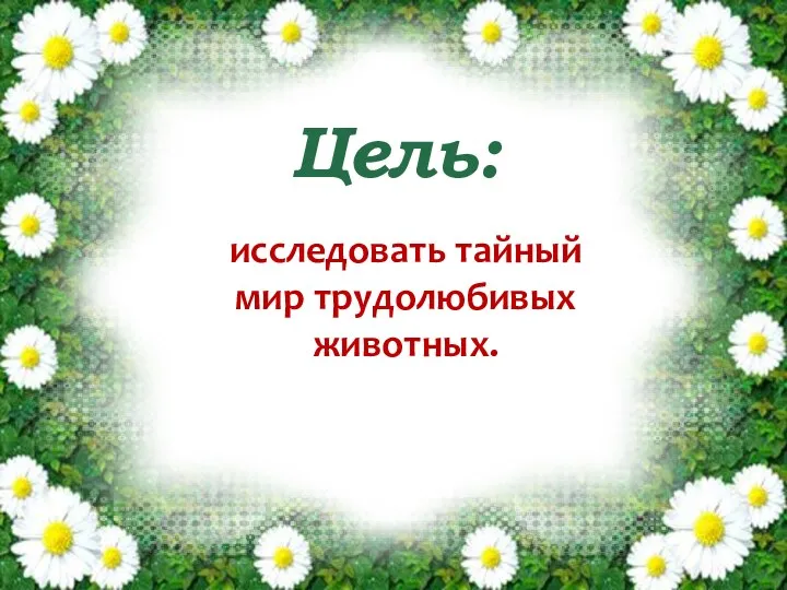 Цель: исследовать тайный мир трудолюбивых животных.