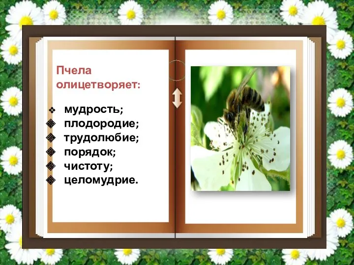 Пчела олицетворяет: мудрость; плодородие; трудолюбие; порядок; чистоту; целомудрие.