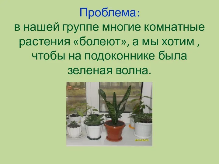 Проблема: в нашей группе многие комнатные растения «болеют», а мы хотим , чтобы