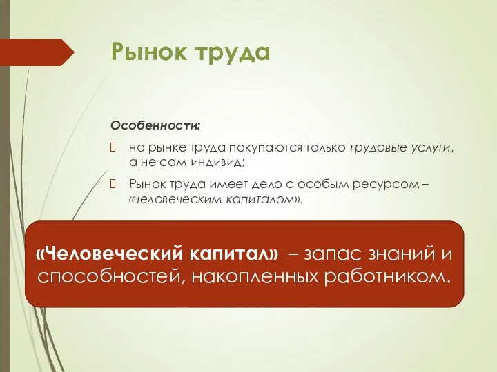 Рынок труда Особенности: на рынке труда покупаются только трудовые услуги,