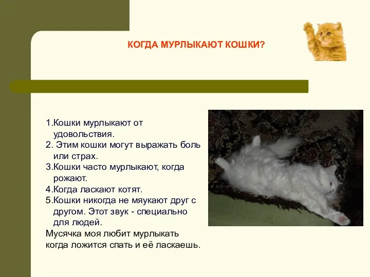 1.Кошки мурлыкают от удовольствия. 2. Этим кошки могут выражать боль