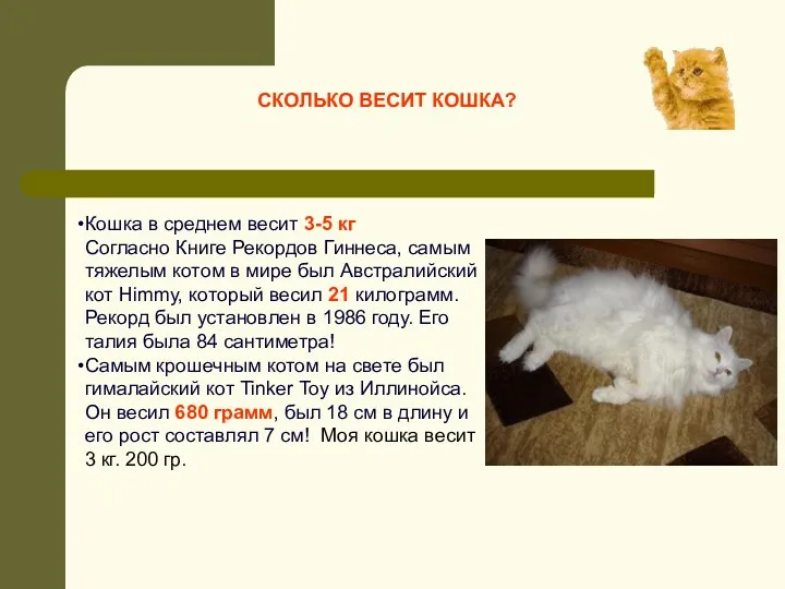 Кошка в среднем весит 3-5 кг Согласно Книге Рекордов Гиннеса,