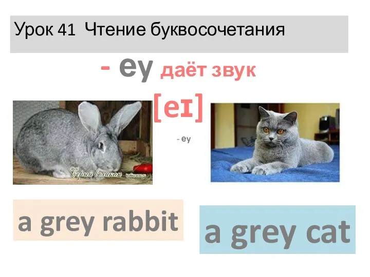 Урок 41 Чтение буквосочетания - еy даёт звук [eɪ] a