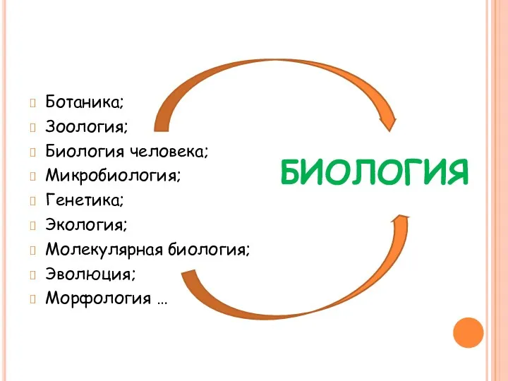 БИОЛОГИЯ Ботаника; Зоология; Биология человека; Микробиология; Генетика; Экология; Молекулярная биология; Эволюция; Морфология …