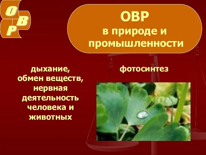 ОВР в природе и промышленности фотосинтез дыхание, обмен веществ, нервная деятельность человека и животных