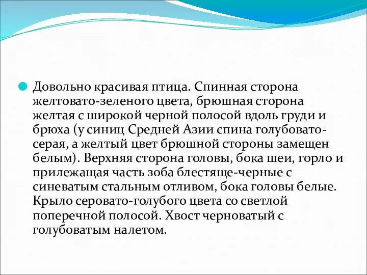 Довольно красивая птица. Спинная сторона желтовато-зеленого цвета, брюшная сторона желтая