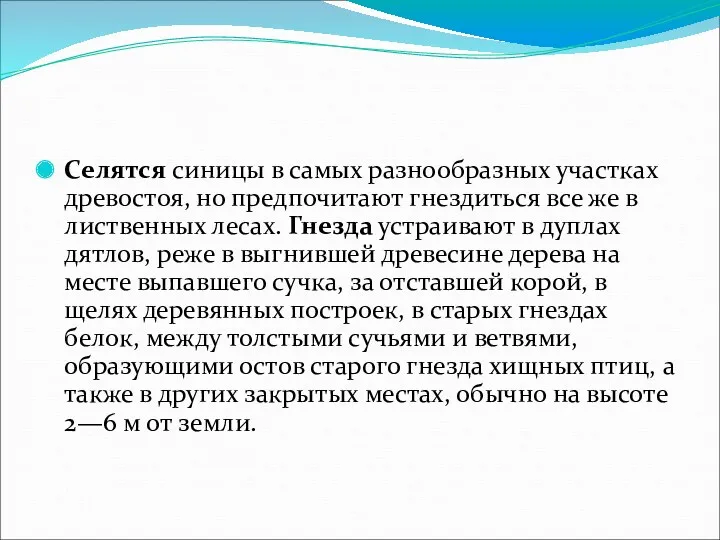 Селятся синицы в самых разнообразных участках древостоя, но предпочитают гнездиться