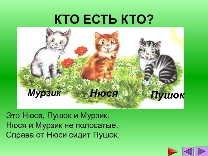 КТО ЕСТЬ КТО? Это Нюся, Пушок и Мурзик. Нюся и