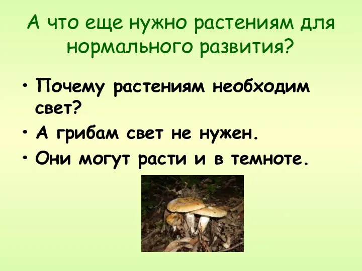 А что еще нужно растениям для нормального развития? Почему растениям необходим свет? А