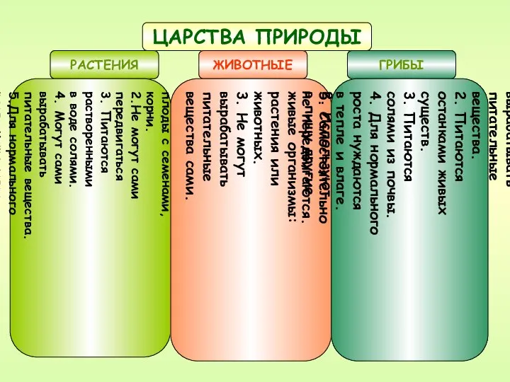 ЦАРСТВА ПРИРОДЫ РАСТЕНИЯ ЖИВОТНЫЕ ГРИБЫ Имеют листья, стебли, цветы, плоды с семенами, корни.