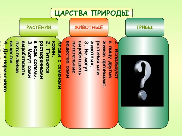 ЦАРСТВА ПРИРОДЫ РАСТЕНИЯ ЖИВОТНЫЕ ГРИБЫ Имеют листья, стебли, цветы, плоды