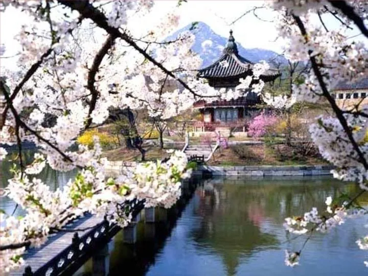 Природа Кореи весной